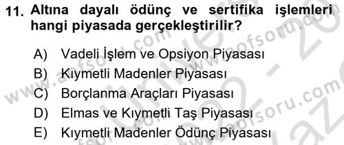 Borsaların Yapısı ve İşleyişi Dersi 2022 - 2023 Yılı Yaz Okulu Sınav Soruları 11. Soru