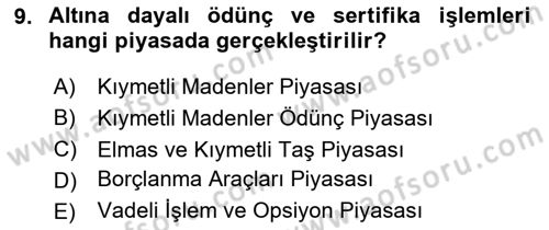 Borsaların Yapısı ve İşleyişi Dersi 2023 - 2024 Yılı Yaz Okulu Sınav Soruları 9. Soru