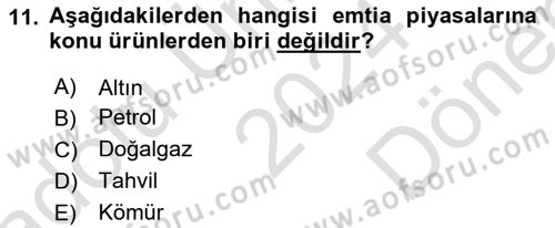 Borsaların Yapısı ve İşleyişi Dersi 2024 - 2025 Yılı (Final) Dönem Sonu Sınav Soruları 11. Soru