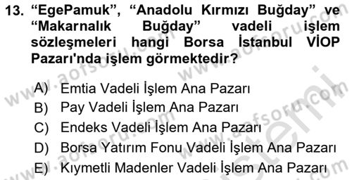 Borsaların Yapısı ve İşleyişi Dersi 2024 - 2025 Yılı (Final) Dönem Sonu Sınav Soruları 13. Soru