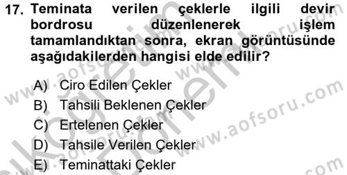 Ön Muhasebe Yazılımları Ve Kullanımı Dersi 2016 - 2017 Yılı (Vize) Ara Sınav Soruları 17. Soru