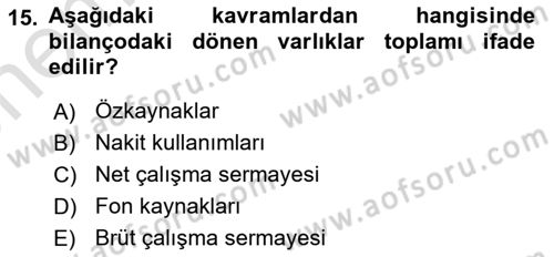 Mali Analiz Dersi 2023 - 2024 Yılı (Vize) Ara Sınav Soruları 15. Soru