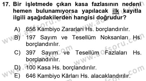 Envanter ve Bilanço Dersi 2024 - 2025 Yılı (Vize) Ara Sınav Soruları 17. Soru