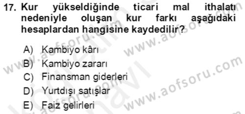 Dış Ticaret İşlemlerinin Muhasebeleştirilmesi Dersi 2017 - 2018 Yılı 3 Ders Sınavı 17. Soru