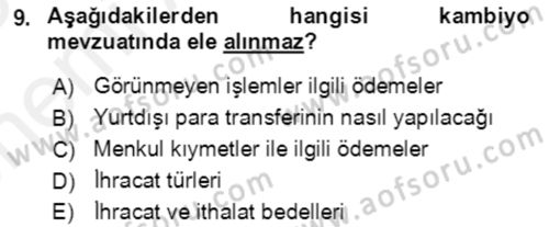 Dış Ticaret İşlemlerinin Muhasebeleştirilmesi Dersi 2017 - 2018 Yılı (Vize) Ara Sınav Soruları 9. Soru