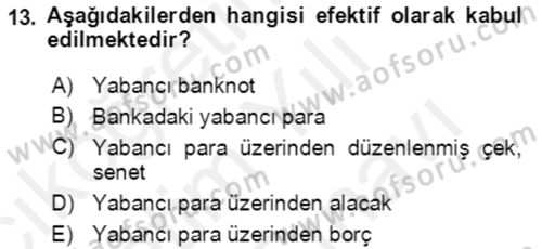 Dış Ticaret İşlemlerinin Muhasebeleştirilmesi Dersi 2018 - 2019 Yılı (Vize) Ara Sınav Soruları 13. Soru
