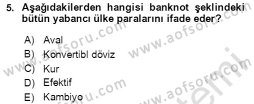 Dış Ticaret İşlemlerinin Muhasebeleştirilmesi Dersi 2020 - 2021 Yılı Yaz Okulu Sınav Soruları 5. Soru