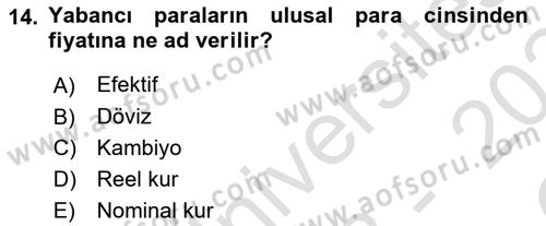 Dış Ticaret İşlemlerinin Muhasebeleştirilmesi Dersi 2023 - 2024 Yılı Yaz Okulu Sınav Soruları 14. Soru