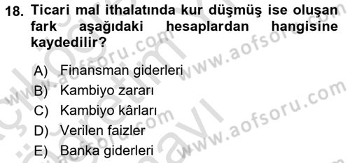 Dış Ticaret İşlemlerinin Muhasebeleştirilmesi Dersi 2023 - 2024 Yılı Yaz Okulu Sınav Soruları 18. Soru