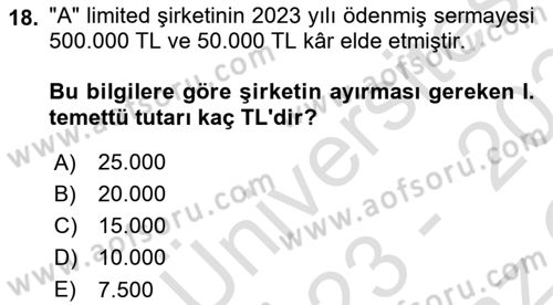 Şirketler Muhasebesi Dersi 2023 - 2024 Yılı Yaz Okulu Sınav Soruları 18. Soru