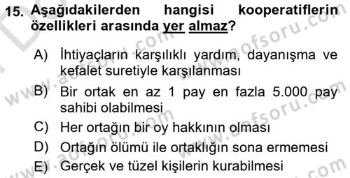 Şirketler Muhasebesi Dersi 2024 - 2025 Yılı (Final) Dönem Sonu Sınav Soruları 15. Soru