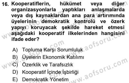 Şirketler Muhasebesi Dersi 2024 - 2025 Yılı (Final) Dönem Sonu Sınav Soruları 16. Soru