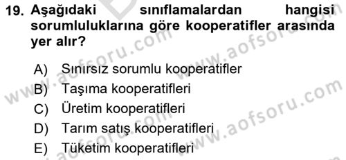 Şirketler Muhasebesi Dersi 2024 - 2025 Yılı (Final) Dönem Sonu Sınav Soruları 19. Soru