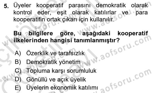 Şirketler Muhasebesi Dersi 2024 - 2025 Yılı Yaz Okulu Sınav Soruları 5. Soru