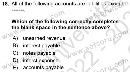 Accounting 1 Dersi 2022 - 2023 Yılı Yaz Okulu Sınav Soruları 18. Soru