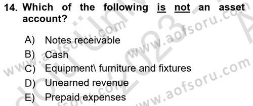 Accounting 1 Dersi 2023 - 2024 Yılı (Vize) Ara Sınavı 14. Soru