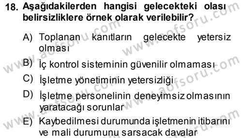 Muhasebe Denetimi ve Mali Analiz Dersi 2013 - 2014 Yılı (Vize) Ara Sınav Soruları 18. Soru