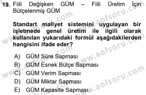 Maliyet Ve Yönetim Muhasebesi Dersi 2023 - 2024 Yılı (Vize) Ara Sınavı 19. Soru