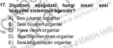 Okulöncesinde Müzik Eğitimi 1 Dersi 2012 - 2013 Yılı (Vize) Ara Sınavı 17. Soru