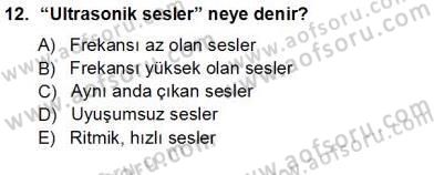 Okulöncesinde Müzik Eğitimi 1 Dersi Ara Sınavı Deneme Sınav Soruları 12. Soru
