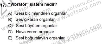 Okulöncesinde Müzik Eğitimi 1 Dersi Ara Sınavı Deneme Sınav Soruları 17. Soru