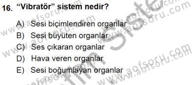 Okulöncesinde Müzik Eğitimi 1 Dersi Ara Sınavı Deneme Sınav Soruları 16. Soru
