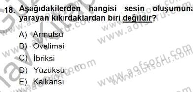 Okulöncesinde Müzik Eğitimi 1 Dersi Ara Sınavı Deneme Sınav Soruları 18. Soru