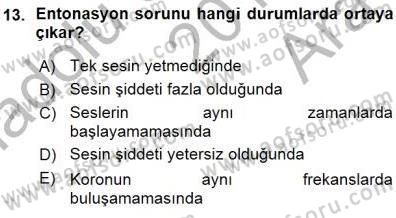 Okulöncesinde Müzik Eğitimi 1 Dersi Ara Sınavı Deneme Sınav Soruları 13. Soru