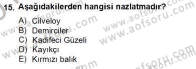 Okulöncesinde Müzik Eğitimi 2 Dersi 2012 - 2013 Yılı (Final) Dönem Sonu Sınav Soruları 15. Soru