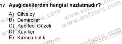 Okulöncesinde Müzik Eğitimi 2 Dersi 2014 - 2015 Yılı (Final) Dönem Sonu Sınav Soruları 17. Soru