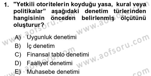 Muhasebe Denetimi Dersi 2018 - 2019 Yılı (Vize) Ara Sınav Soruları 1. Soru