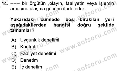 Muhasebe Denetimi Dersi 2018 - 2019 Yılı (Vize) Ara Sınav Soruları 14. Soru