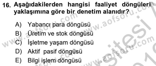 Muhasebe Denetimi Dersi 2018 - 2019 Yılı Yaz Okulu Sınav Soruları 16. Soru