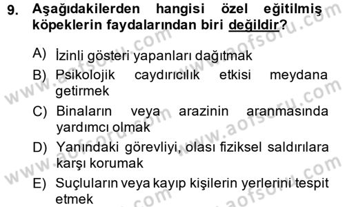 Özel Güvenlik Hizmetlerinde Güvenlik Önlemleri Dersi 2013 - 2014 Yılı (Vize) Ara Sınav Soruları 9. Soru