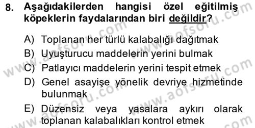 Özel Güvenlik Hizmetlerinde Güvenlik Önlemleri Dersi 2014 - 2015 Yılı (Vize) Ara Sınav Soruları 8. Soru