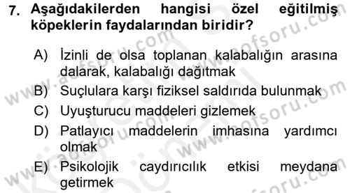 Özel Güvenlik Hizmetlerinde Güvenlik Önlemleri Dersi 2015 - 2016 Yılı (Vize) Ara Sınav Soruları 7. Soru