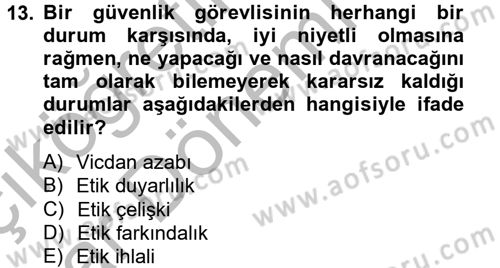 Özel Güvenlik Meslek Etiği Dersi 2012 - 2013 Yılı (Vize) Ara Sınav Soruları 13. Soru