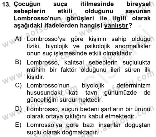 Kriminoloji Dersi 2017 - 2018 Yılı 3 Ders Sınavı 13. Soru