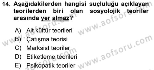 Kriminoloji Dersi 2017 - 2018 Yılı (Vize) Ara Sınavı 14. Soru