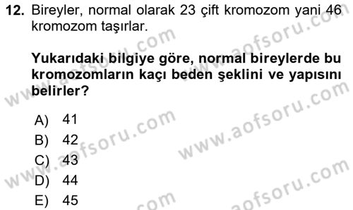 Kriminoloji Dersi 2020 - 2021 Yılı Yaz Okulu Sınavı 12. Soru