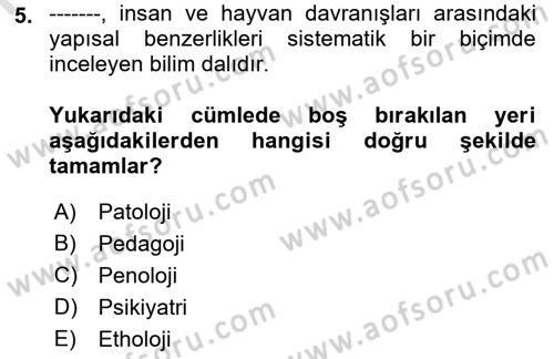 Kriminoloji Dersi 2021 - 2022 Yılı (Vize) Ara Sınavı 5. Soru