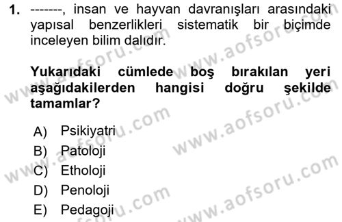 Kriminoloji Dersi 2022 - 2023 Yılı (Vize) Ara Sınavı 1. Soru