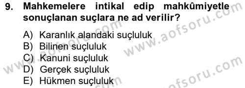 Suç Önleme Modelleri Dersi 2012 - 2013 Yılı (Vize) Ara Sınavı 9. Soru