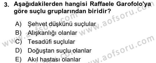 Suç Önleme Modelleri Dersi 2016 - 2017 Yılı 3 Ders Sınav Soruları 3. Soru