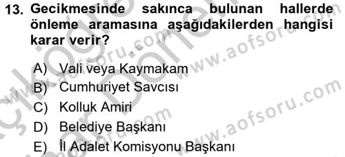 Suç Önleme Modelleri Dersi 2016 - 2017 Yılı (Vize) Ara Sınav Soruları 13. Soru