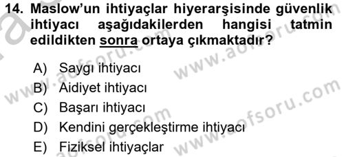 Suç Önleme Modelleri Dersi 2016 - 2017 Yılı (Vize) Ara Sınavı 14. Soru