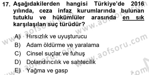 Suç Önleme Modelleri Dersi 2016 - 2017 Yılı (Final) Dönem Sonu Sınav Soruları 17. Soru