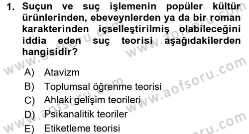 Suç Önleme Modelleri Dersi 2017 - 2018 Yılı (Vize) Ara Sınav Soruları 1. Soru