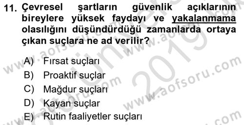 Suç Önleme Modelleri Dersi 2018 - 2019 Yılı 3 Ders Sınav Soruları 11. Soru