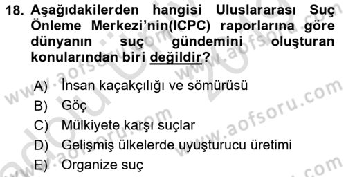 Suç Önleme Modelleri Dersi 2018 - 2019 Yılı 3 Ders Sınav Soruları 18. Soru
